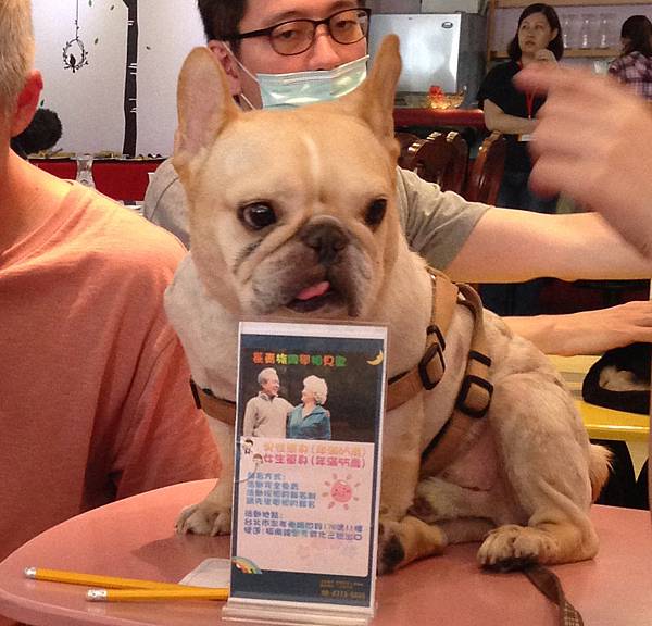 寵物04a.jpg 寵物04a.jpg