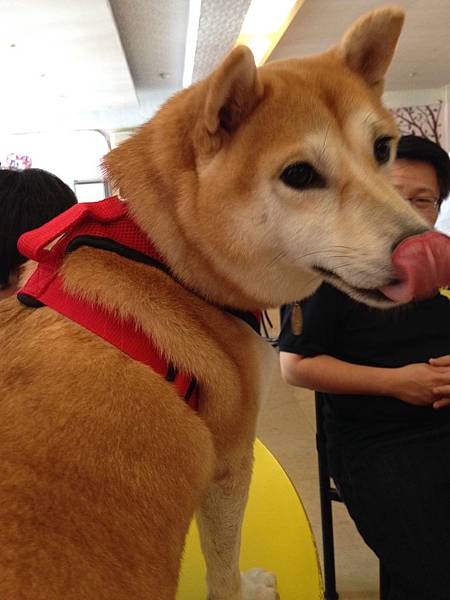 特寫01.JPG 特寫01.JPG