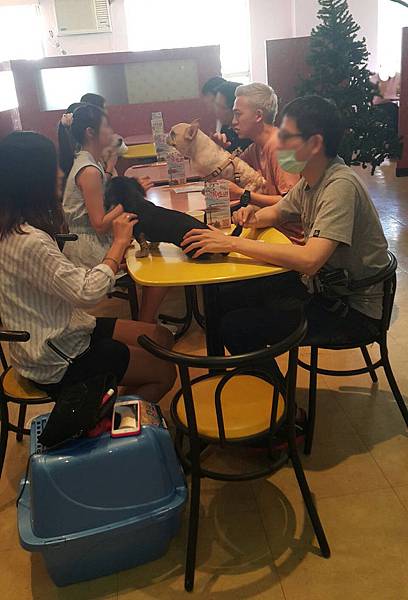 寵物01(臉打糊).jpg 寵物01(臉打糊).jpg