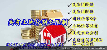 共有土地分割之限制(示意圖)