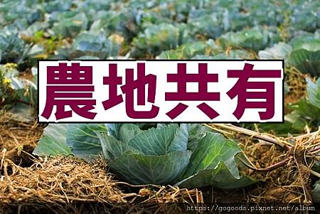 農地共有(示意圖)