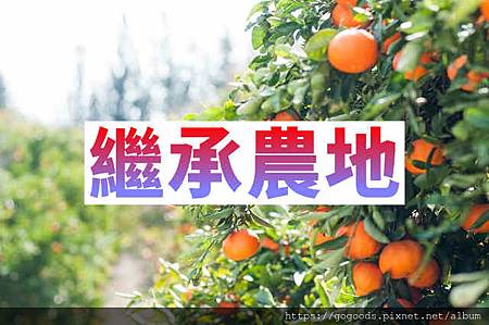 繼承農地(示意圖) 繼承農地(示意圖)