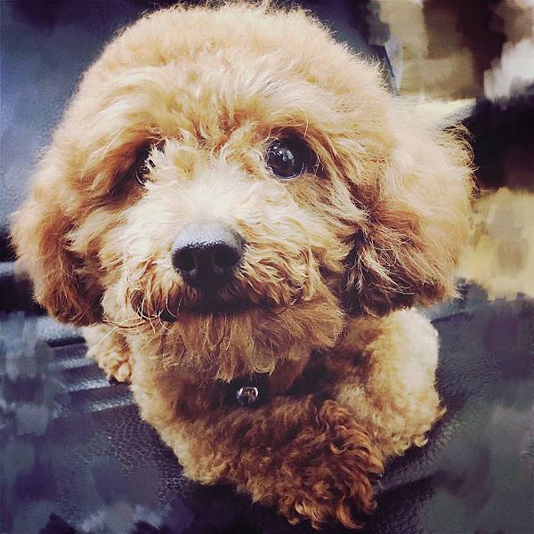 S__5505099.jpg S__5505099.jpg