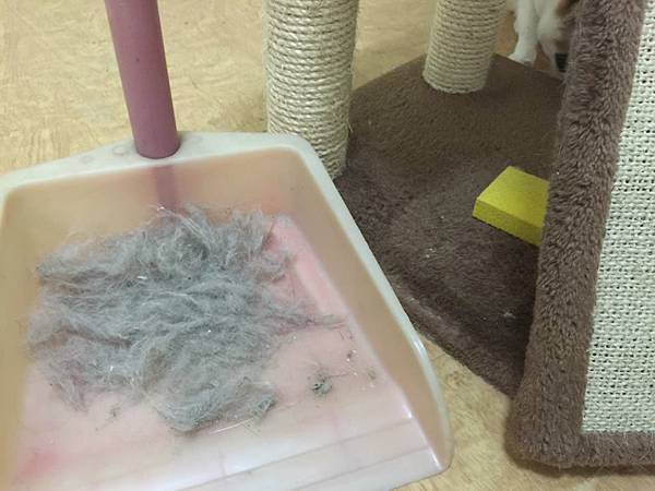 13501760_10154355867492932_2061108793026848665_n.jpg 13501760_10154355867492932_2061108793026848665_n.jpg