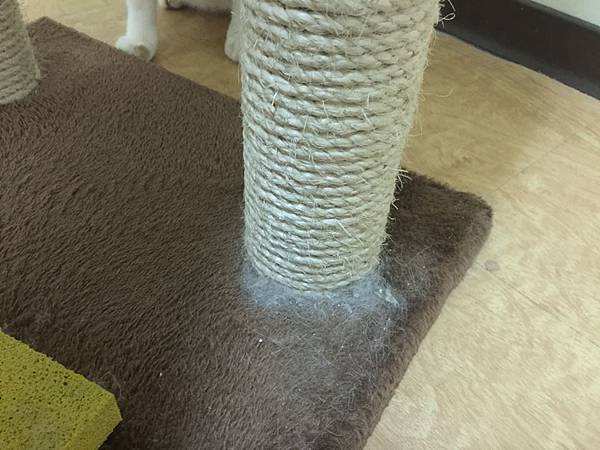 13407049_10154355867237932_8212017558345972414_n.jpg 13407049_10154355867237932_8212017558345972414_n.jpg