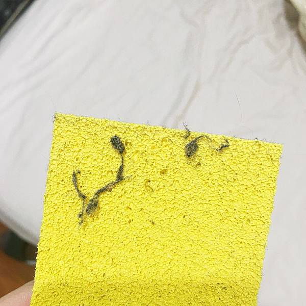 S__8831192.jpg S__8831192.jpg