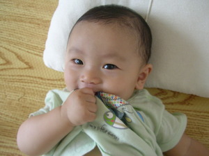 龐貝兒3 龐貝兒3