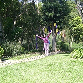 20101101尖石薰衣草森林 (39) 20101101尖石薰衣草森林 (39)