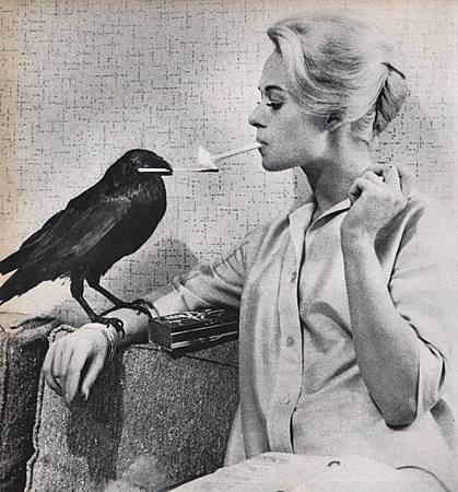 1963【鳥】The Birds