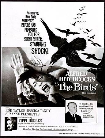 1963【鳥】The Birds