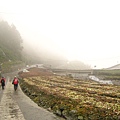 IMG_5165.jpg