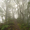 IMG_5125.jpg