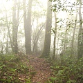 IMG_5152.jpg