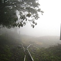 IMG_5157.jpg