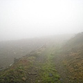 IMG_5159.jpg
