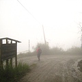 IMG_5163.jpg