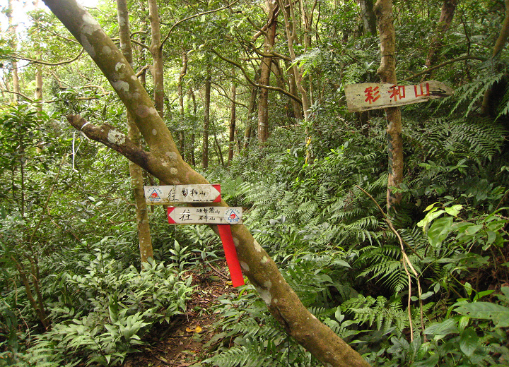新竹關西 高甫山 彩和山 油井窩山 石牛山o型 登山越嶺 開展心靈的綠野 痞客邦 新竹關西 高甫山 彩和山 油井窩山 石牛山o型 登山越嶺 開展心靈的綠野 痞客邦