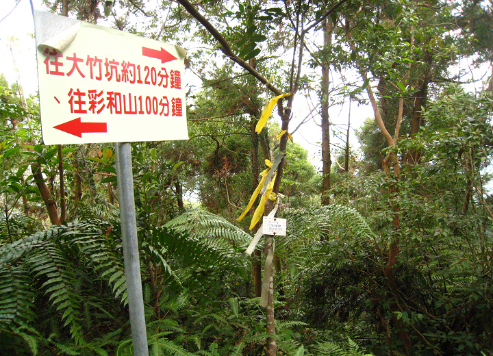 新竹關西 高甫山 彩和山 油井窩山 石牛山 Img 8446 Jpg 酸莓的相簿 痞客邦
