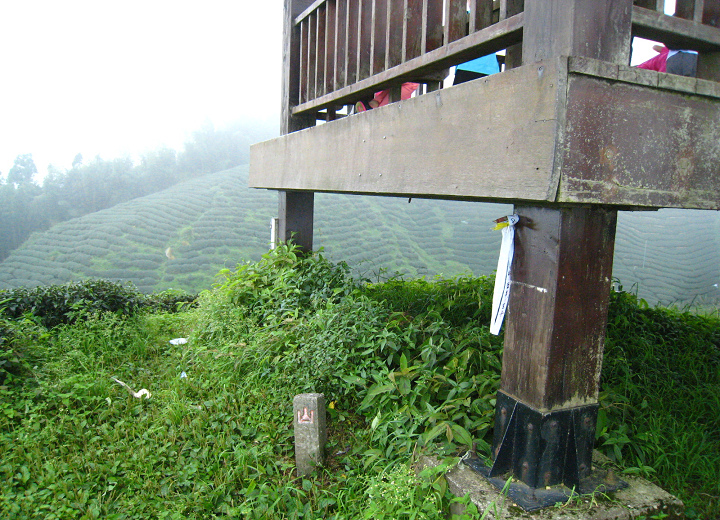 1050827【南投竹山】銀杏森林、樟空崙山、貓冬望山、大崙山@ 登山越嶺 ...