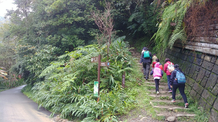 1091213-內洞森林遊樂區_201213_0005.jpg 1091213-內洞森林遊樂區_201213_0005.jpg