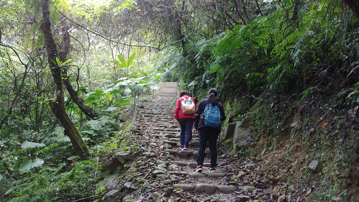 1091213-內洞森林遊樂區_201213_0006.jpg 1091213-內洞森林遊樂區_201213_0006.jpg