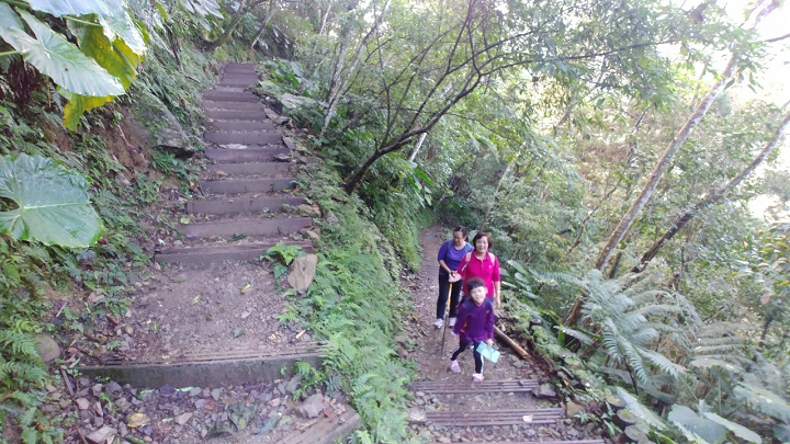 1091213-內洞森林遊樂區_201213_0010.jpg 1091213-內洞森林遊樂區_201213_0010.jpg