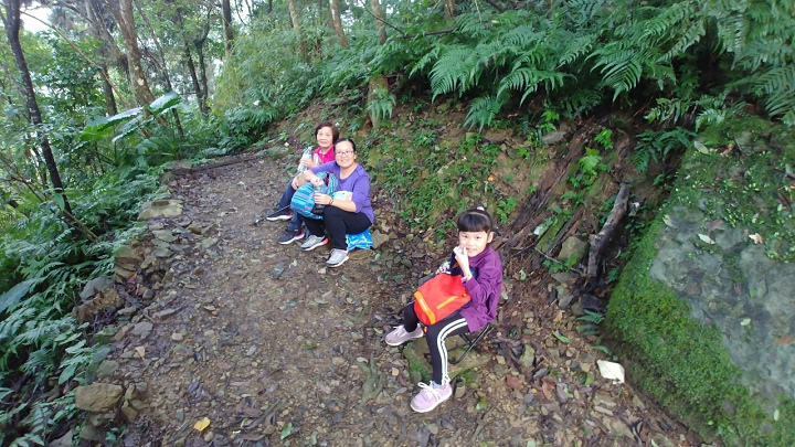 1091213-內洞森林遊樂區_201213_0011.jpg 1091213-內洞森林遊樂區_201213_0011.jpg