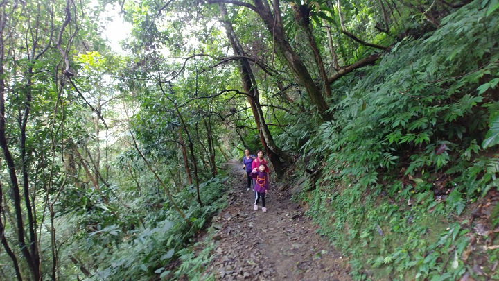 1091213-內洞森林遊樂區_201213_0016.jpg 1091213-內洞森林遊樂區_201213_0016.jpg