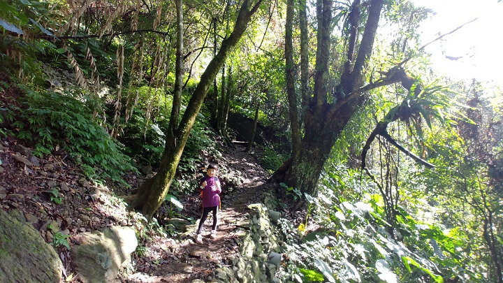 1091213-內洞森林遊樂區_201213_0019.jpg 1091213-內洞森林遊樂區_201213_0019.jpg