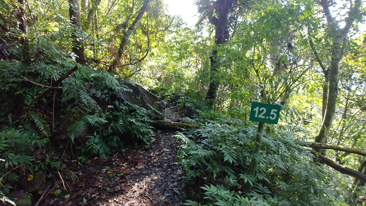 1091213-內洞森林遊樂區_201213_0022.jpg 1091213-內洞森林遊樂區_201213_0022.jpg