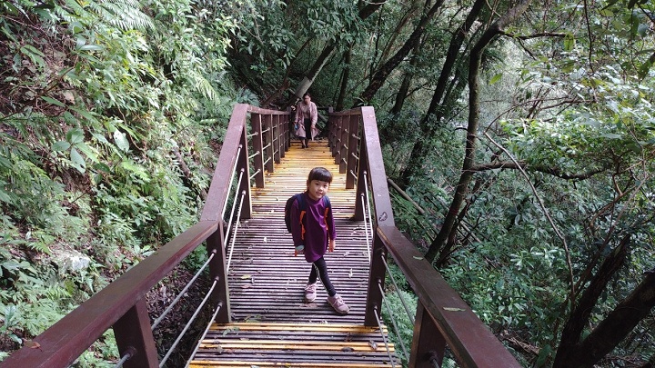 1091213-內洞森林遊樂區_201213_0027.jpg 1091213-內洞森林遊樂區_201213_0027.jpg