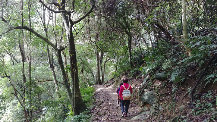 1091213-內洞森林遊樂區_201213_0024.jpg 1091213-內洞森林遊樂區_201213_0024.jpg