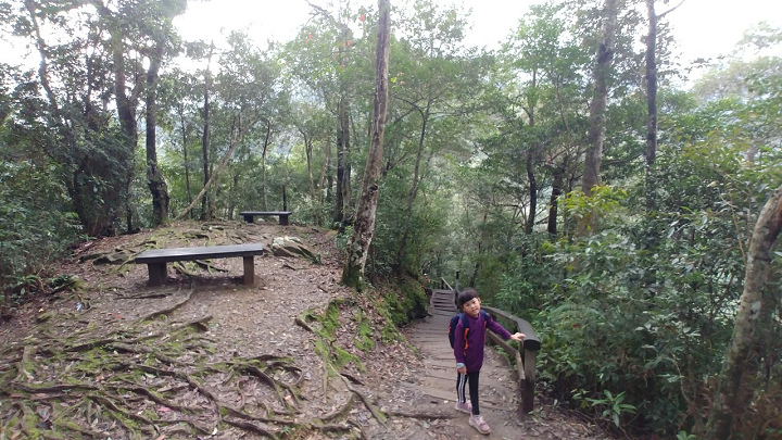 1091213-內洞森林遊樂區_201213_0025.jpg 1091213-內洞森林遊樂區_201213_0025.jpg