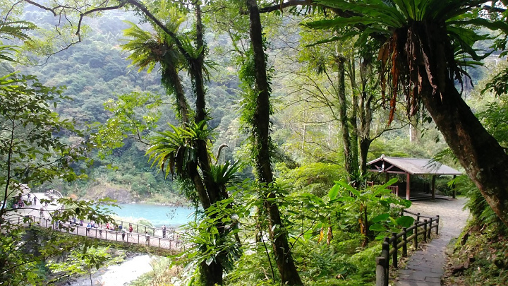 1091213-內洞森林遊樂區_201213_0041.jpg 1091213-內洞森林遊樂區_201213_0041.jpg