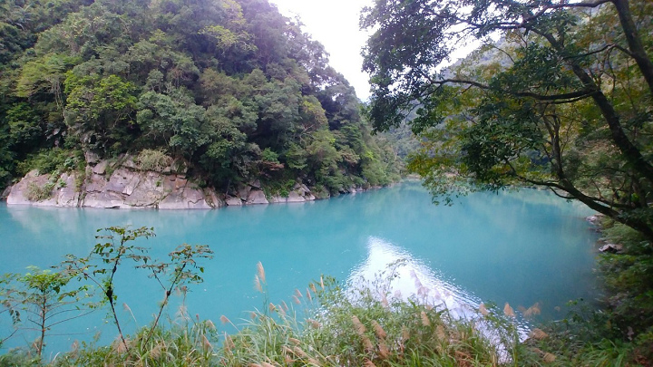 1091213-內洞森林遊樂區_201213_0048.jpg 1091213-內洞森林遊樂區_201213_0048.jpg