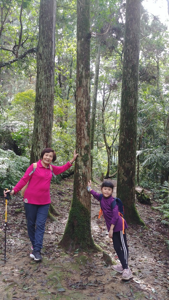 1091213-內洞森林遊樂區_201213_0023.jpg 1091213-內洞森林遊樂區_201213_0023.jpg