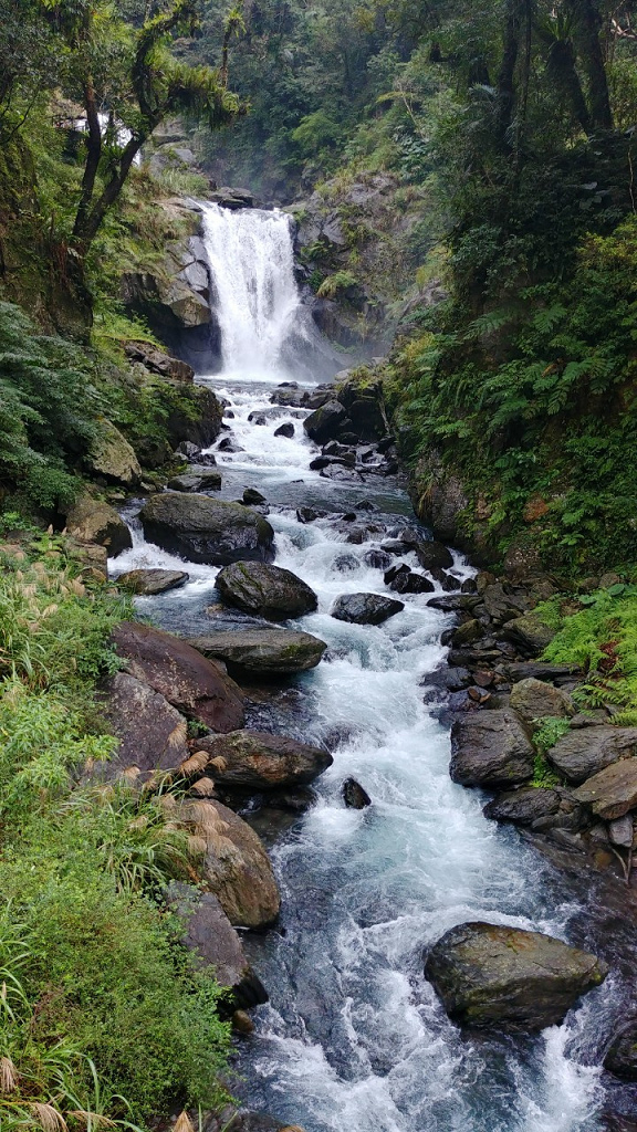 1091213-內洞森林遊樂區_201213_0044.jpg 1091213-內洞森林遊樂區_201213_0044.jpg