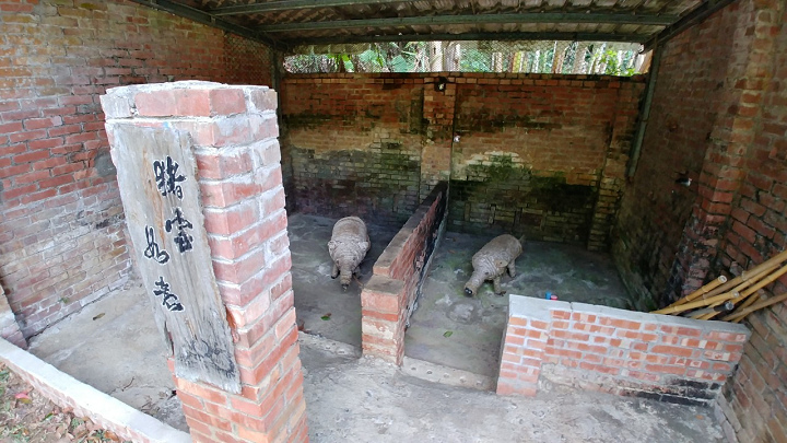 1091220-關西東山農園採橘趣_201222_0006.jpg 1091220-關西東山農園採橘趣_201222_0006.jpg