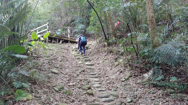 1091220-關西東山農園採橘趣_201222_0008.jpg 1091220-關西東山農園採橘趣_201222_0008.jpg