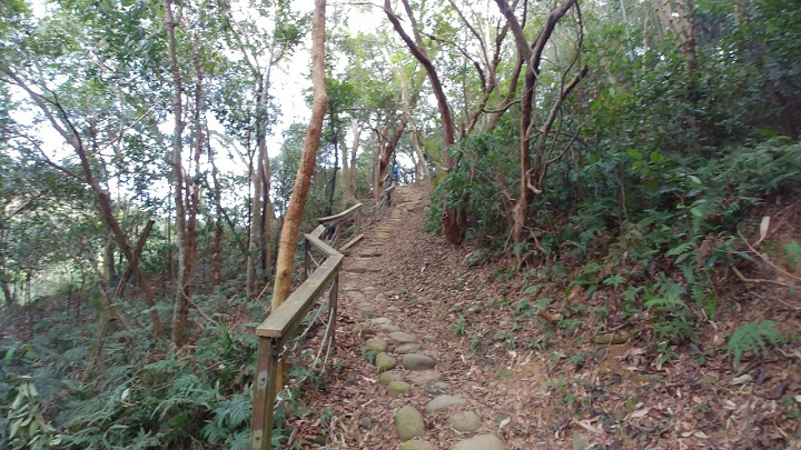 1091220-關西東山農園採橘趣_201222_0009.jpg 1091220-關西東山農園採橘趣_201222_0009.jpg