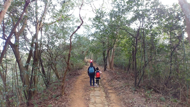 1091220-關西東山農園採橘趣_201222_0012.jpg 1091220-關西東山農園採橘趣_201222_0012.jpg