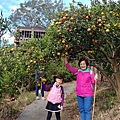 1091220-關西東山農園採橘趣_201222_0022.jpg