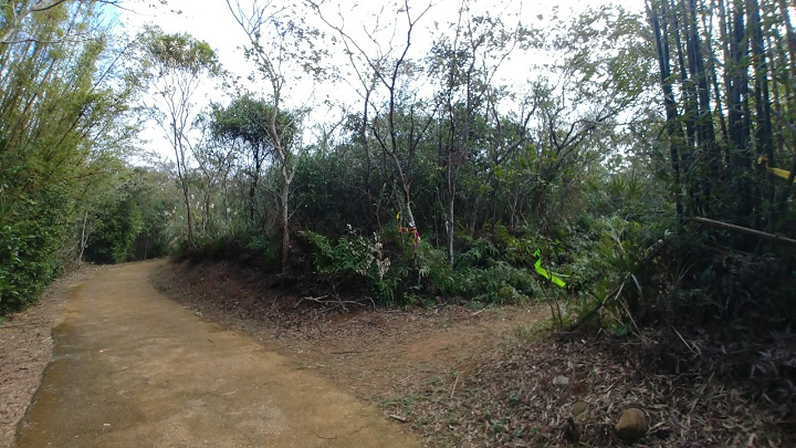 1091220-關西東山農園採橘趣_201222_0025.jpg 1091220-關西東山農園採橘趣_201222_0025.jpg