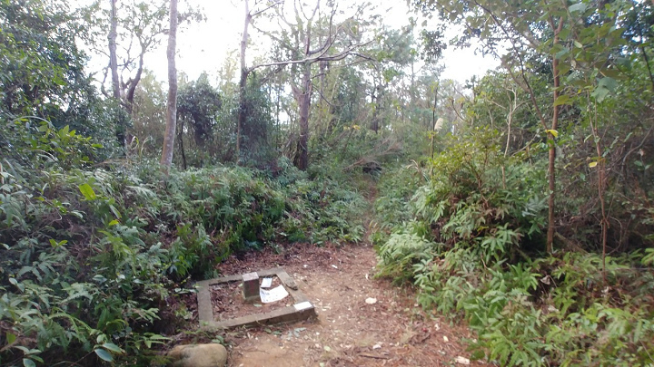 1091220-關西東山農園採橘趣_201222_0026.jpg 1091220-關西東山農園採橘趣_201222_0026.jpg