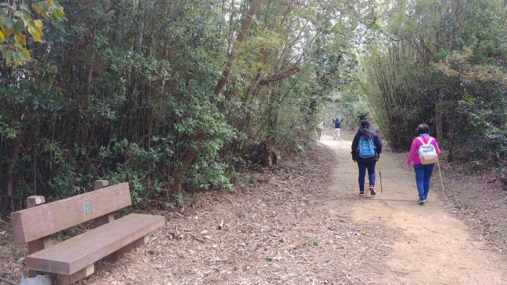 1091220-關西東山農園採橘趣_201222_0035.jpg 1091220-關西東山農園採橘趣_201222_0035.jpg