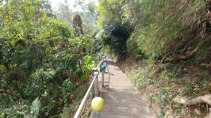 1091220-關西東山農園採橘趣_201222_0060.jpg 1091220-關西東山農園採橘趣_201222_0060.jpg