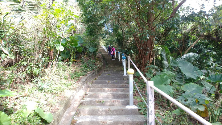1091220-關西東山農園採橘趣_201222_0061.jpg 1091220-關西東山農園採橘趣_201222_0061.jpg