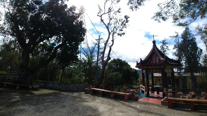 1091220-關西東山農園採橘趣_201222_0057.jpg 1091220-關西東山農園採橘趣_201222_0057.jpg