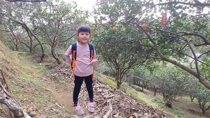 1091226-九芎湖步道採橘_201228_0001.jpg 1091226-九芎湖步道採橘_201228_0001.jpg