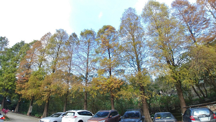 1091226-九芎湖步道採橘_201228_0009.jpg 1091226-九芎湖步道採橘_201228_0009.jpg